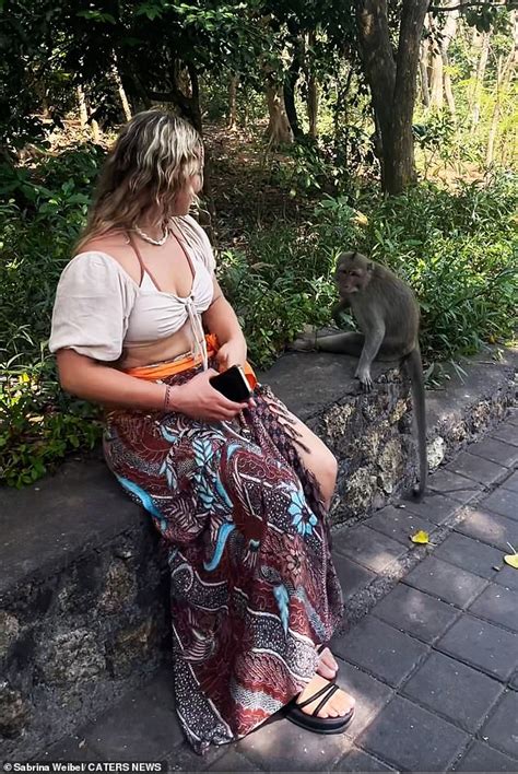 Image result for Monkey Using Cell Phone