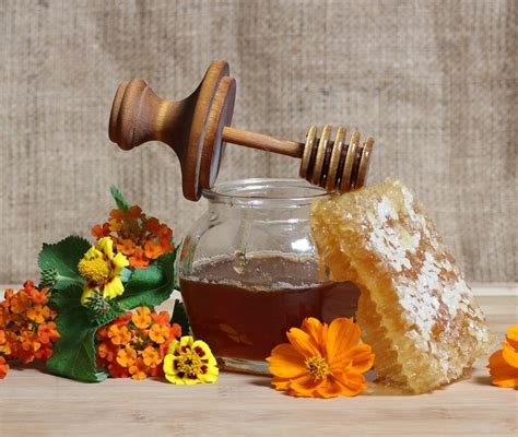 Local Farm Fresh Produce Near Me Organic 的图像结果