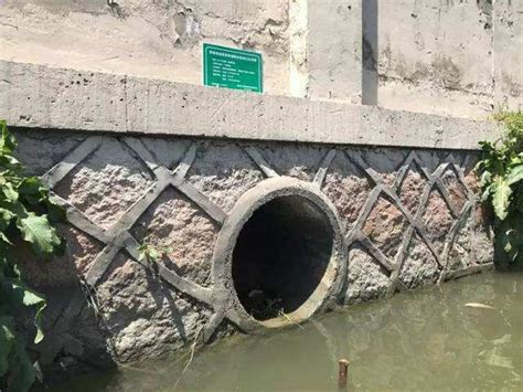 IN视频|新洲河突现污水排进河道 原因竟是这样_深圳新闻网