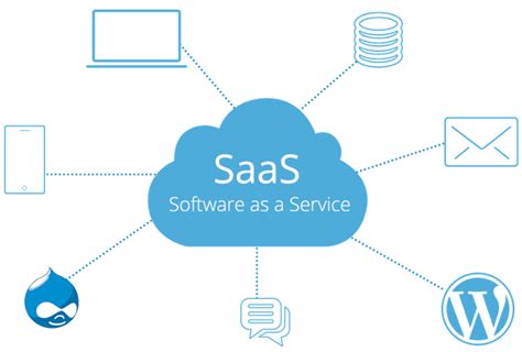 与传统软件相比，SaaS服务依托于软件和互联网，不论从技术角度还是商务角度都拥有与传统软件不同的特性，表现在：