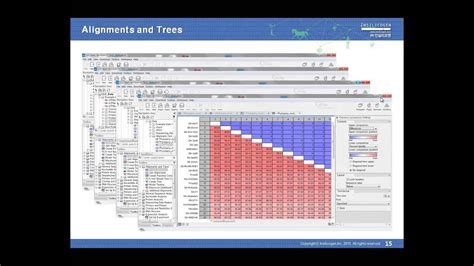 Image result for CLC Main Workbench Reviews