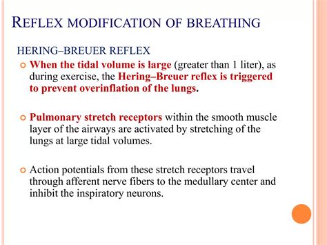 Control of respiration | PPTX