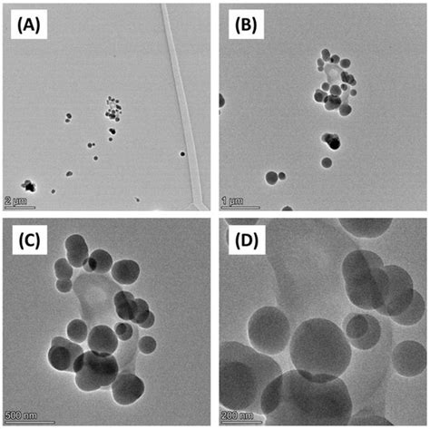 An In Vitro Model to Assess Early Immune Markers Following Co-Exposure ...