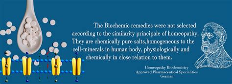 centralcouncilbio.in