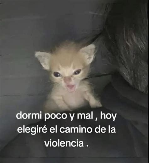 Memes | Fotos | Videos | 😠😠😠 | Instagram