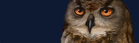 Download wallpaper the dark background, owl, bird, owl, section ...