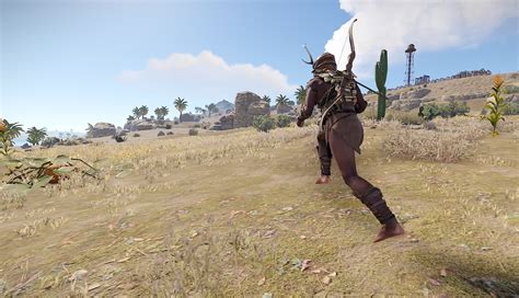 Auto Run Rust 的图像结果