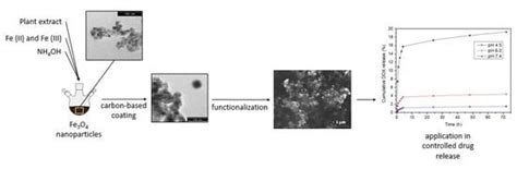 Carbon-Based Magnetic Nanocarrier for Controlled Drug Release: A Green ...