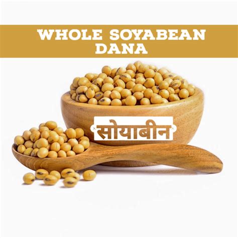 SS520 Row Soyabean Dana Whole Soya Seeds Soyabin (High Protein & Fiber)