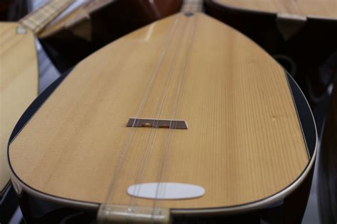 Free Images : music, acoustic guitar, reed, musical instrument ...