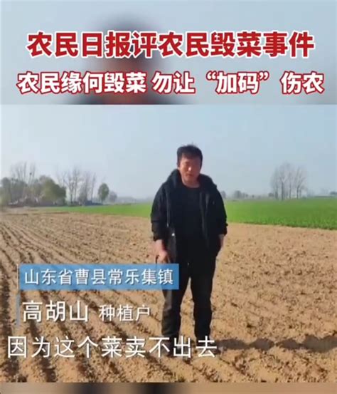 湖北66岁农民大胆直言：恢复征收农业税，只会伤害农民的爱国心