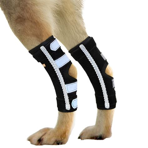 Amazon.com : NeoAlly Dog Rear Leg Brace Splints with Removable Metal ...