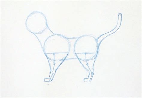 Image result for How to Draw a Cat Tutorial