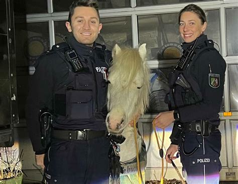 Mit Apfel und Hundeleine: Polizei holt Pony von der Straße | agrarheute.com