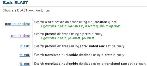 Image result for Blast Tutorial DNA Ubuntu