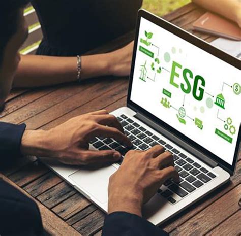 Technology consulting services | Grant Thornton Bharat