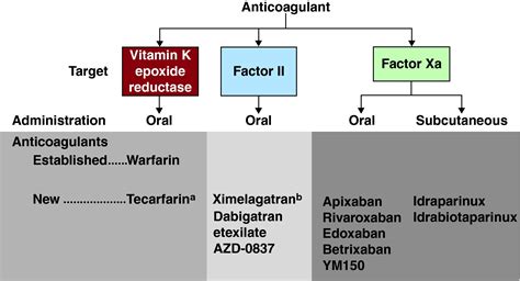 Antiplatelet and Anticoagulant Therapy for Stroke Prevention in Patients With Non-Valvular ...