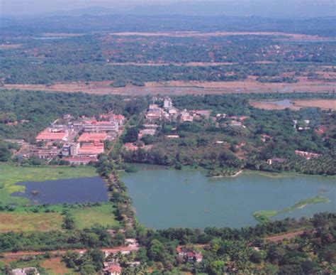 Image result for QuestionPro Goa Address