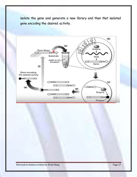 Image result for Directed Evolution Lecture