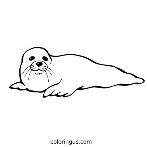 Seal Coloring Pages (Free Printable PDF)