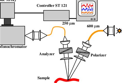 How does diffuse reflectance spectroscopy work? - iEnglish Status