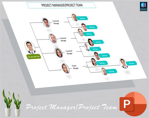 Image result for Project Management Organization Chart