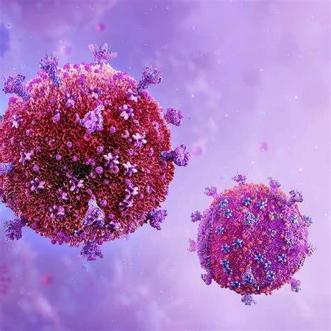 免疫细胞治疗应用 | 免疫细胞治疗产品 | 康宁