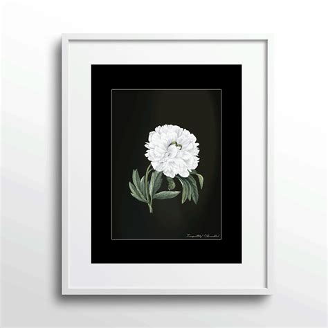 Obsidian Bloom 1 - Black Floral Wall Art – Nook At You