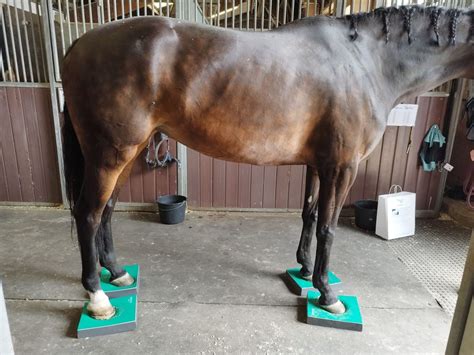 Diagnose, Therapie und Rehabiltation von Neurologischen Erkrankungen ...