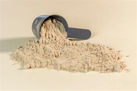 Optimal Whey Protein Intake: Daily Scoops Guide | Hammer Nutrition Europe