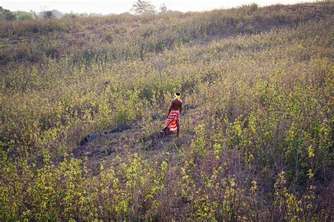 Santal's Baha Festival: Celebrating fertility and innate union with nature