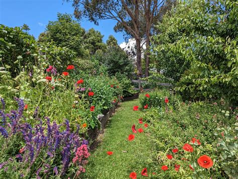 HARTVALE COTTAGE (2026) All You Need to Know BEFORE You Go (with Photos ...