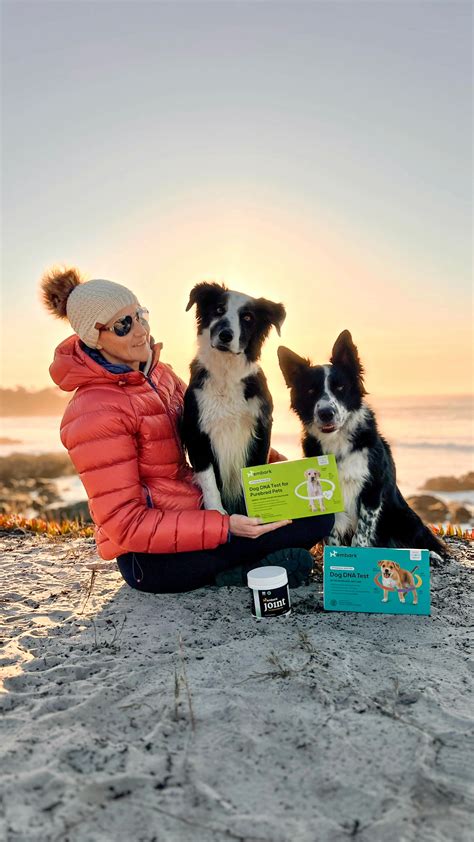 Embark Dog DNA Test | Avoid the awkward pause. With an Embark Dog DNA Test you can finally ...