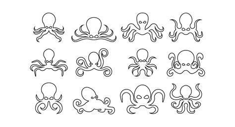 Octopus Software without Box 的图像结果