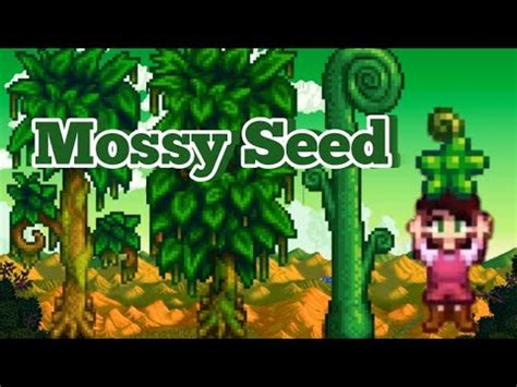 Cara Mendapatkan Mossy Seed 1.6 Stardew Valley - YouTube