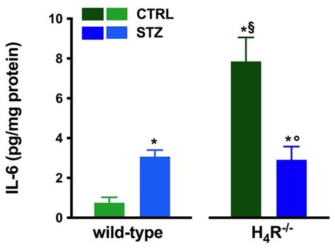 The Interplay between Histamine H4 Receptor and the Kidney Function ...
