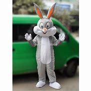 Image result for Bunny Costume Bodysuit