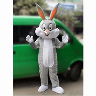 Image result for Bunny Costume Ideas