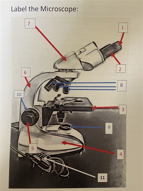 Image result for How to Use Microscope for Identification