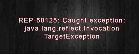 Java.lang.reflect.invocationtargetexception 的图像结果