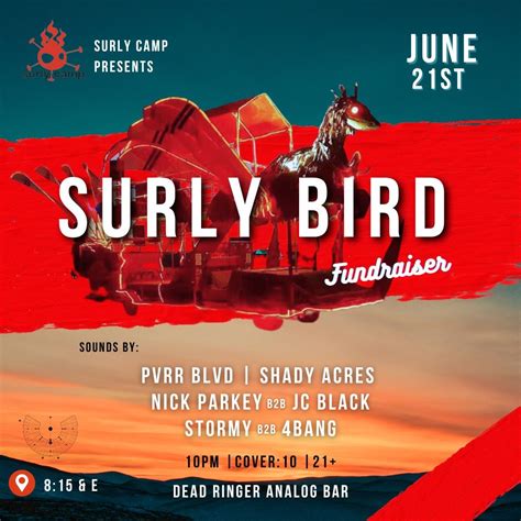 Surly Camp Fundraiser 2024, Dead Ringer Analog Bar, Reno, 21 June 2024 ...