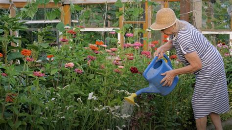 Spring gardening hacks for a healthy garden
