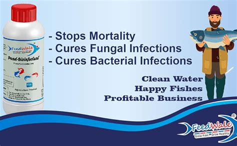 Buy FeedWale BKC 50% Pond Disinfectant for Aquaculture Ponds and ...