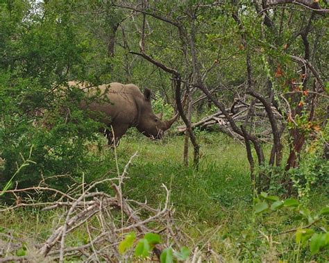 MASEKE MOUNTAIN BIKING (2026) All You Need to Know BEFORE You Go (with ...