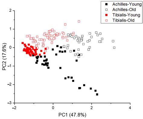 Chemical Markers of Human Tendon Health Identified Using Raman ...