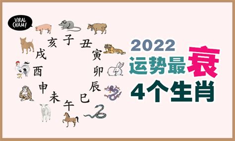 苏民峰12生肖2024年运势及运程详解 2024年生肖运程大全及破解 - 哔哩哔哩