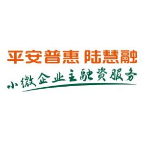 李苗 - 湖北航天信息技术有限公司 - 法定代表人/高管/股东 - 爱企查