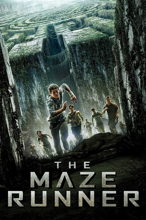 Image result for Maze Runner Explained