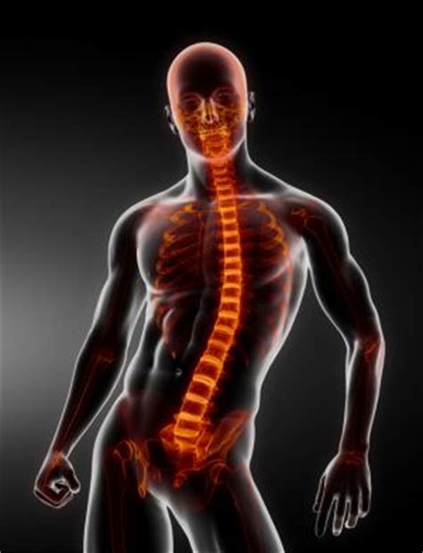 Image result for Inner Imaging Body Scan