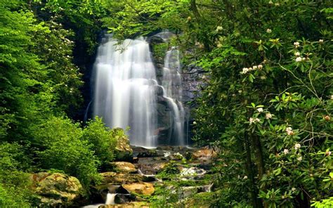 Europe View 的图像结果